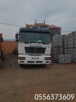 camion-shacman-f2000-2009-boudjima-tizi-ouzou-algerie