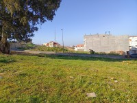 أرض-بيع-الجزائر-دالي-ابراهيم