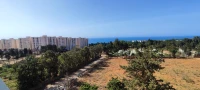 Location Appartement F3 Tipaza Bou ismail