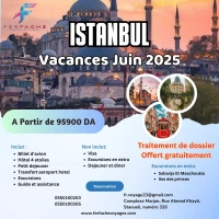 Voyage Istanbul a partir de 95.900 da 