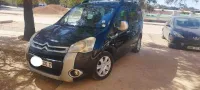 Citroen Berlingo 2010 Berlingo