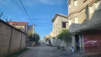 Vente Terrain Blida Ouled el alleug