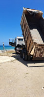 camion-shacman-15-tonnes-2009-djinet-boumerdes-algerie