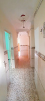 appartement-vente-chlef-oued-sly-algerie