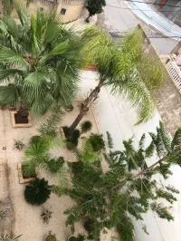 Location Villa Alger Baba hassen