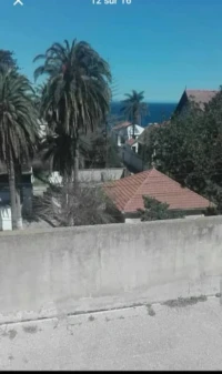 Vente Terrain Alger Ain taya