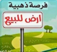 أرض-بيع-تلمسان-الجزائر