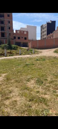 Vente Terrain Boumerdès Tidjelabine