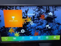 Plazma 32p iris