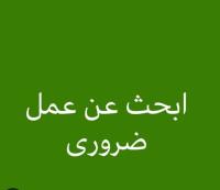 موظف-متعدد-الكفاءات-باحث-عن-عمل-المهام-و-خبرات-شراقة-الجزائر