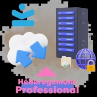 Hébergement Web Professionnel Solution Business