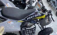 دراجة-نارية-رباعية-كواد-vms-pentora-raptor-2026-برج-بوعريريج-الجزائر