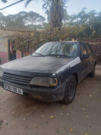 voitures-peugeot-405-1990-break-mahdia-tiaret-algerie