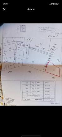 land-sell-tlemcen-marsa-ben-mhidi-algeria