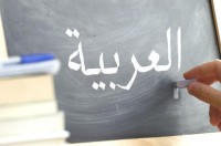 schools-training-cours-a-domicile-darabe-alger-centre-algeria