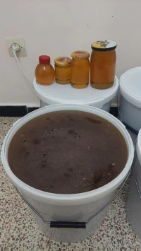 يوجد عسل حر متعدد الأزهار بالجملة أو بالتجزئة