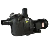 Pompe RS II EV 3 CV HAYWARD 
