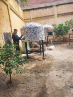 alimentaire-four-au-feu-de-bois-staoueli-alger-algerie