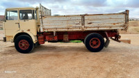 camion-fiat-619-1981-el-bayadh-algerie