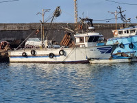 bateaux-barques-sardinier-2022-cherchell-tipaza-algerie