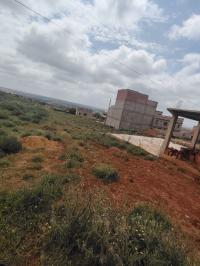 land-sell-mostaganem-sayada-algeria