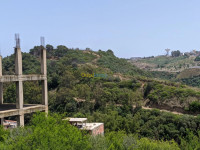 terrain-vente-alger-beni-messous-algerie