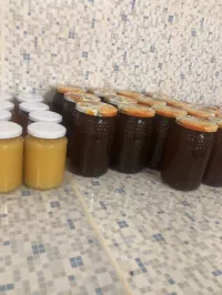 عسل نحل طبيعي من جبال تلمسان 