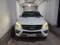 voitures-mercedes-ml-2014-250-cdi-pack-amg-tiaret-algerie