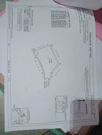 Cherche location Terrain Agricole Blida Meftah