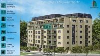 Vente Appartement F3 Alger Dely brahim