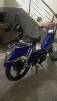 Peagote 103 2000
