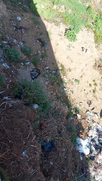 land-sell-alger-beni-messous-algeria