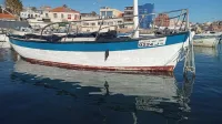 Palangrier