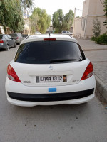 voitures-peugeot-207-2013-tebessa-algerie