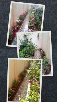 Vente Villa Bouira Bouira