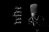 publicite-communication-voice-over-أفضل-تعليق-صوتي-رجولي-بسعر-جد-تنافسي-ain-taya-alger-algerie