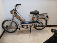 motos-et-scooters-peugeot-103-2024-blida-algerie