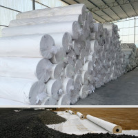 GEOTEXTILE ALGERIE OROMAX - NON WOVEN FABRIC