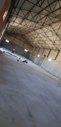 hangar-location-blida-bougara-algerie