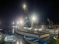 boats-barques-1425m-sardinier-2023-oran-algeria