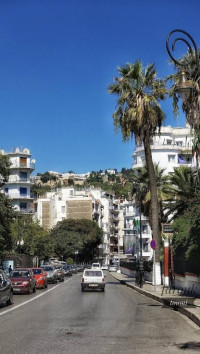 villa-vente-alger-centre-algerie