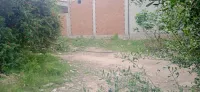 Vente Terrain Blida Bouinan