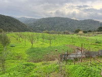 terrain-vente-boumerdes-keddara-algerie