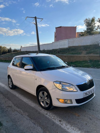 voitures-skoda-fabia-2014-fresh-medea-algerie