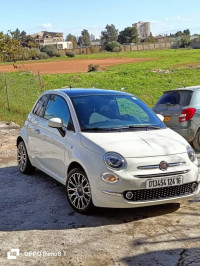 voitures-fiat-500-dolcevita-2024-kolea-tipaza-algerie