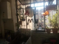 Vente Appartement F3 Alger Les eucalyptus