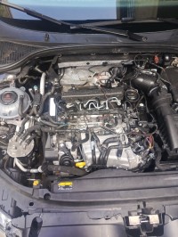 سيارات-skoda-octavia-2014-رأس-الوادي-برج-بوعريريج-الجزائر