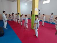 education-formations-coch-de-sport-a-kolea-tipaza-algerie