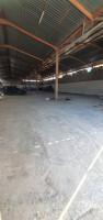 hangar-location-constantine-el-khroub-algerie