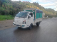 camion-hyundai-h100-2014-tizi-ouzou-algerie